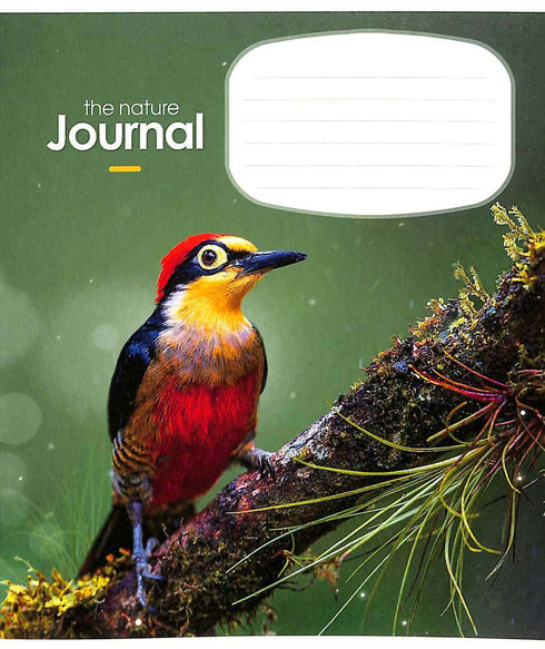 Caderno de linha - 12 folhas. (com diferentes motivos na capa)