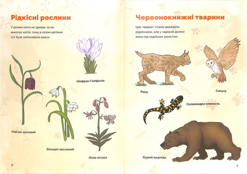 Natal e o segredo do vale mágico