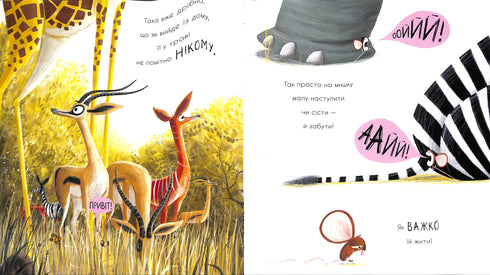 Como encontrar um leão?