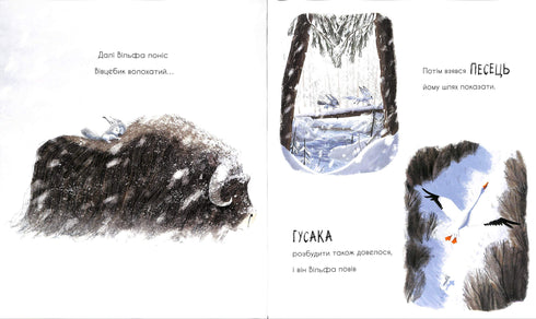 O lobo procura o caminho para a alcateia.