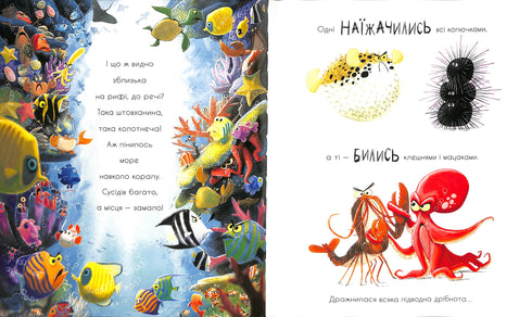 Sobre o cachalote, que tem vontade de colecionar tudo