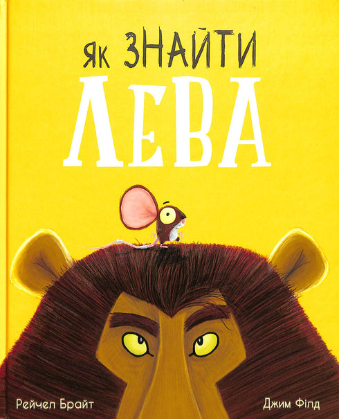 Como encontrar um leão?