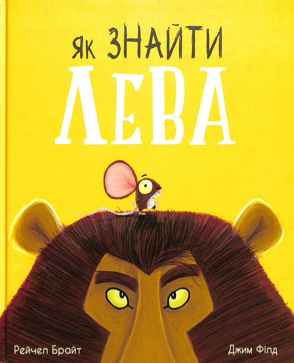 Como encontrar um leão?