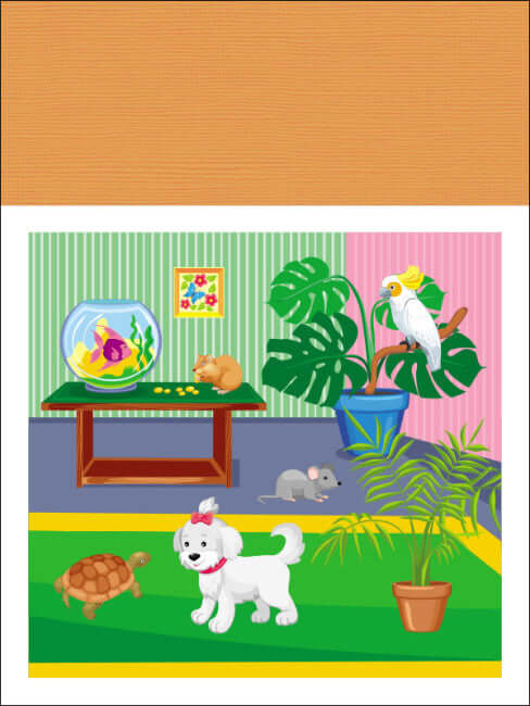 Aplicações. Nível 1. Recorte de quadrados, retângulos