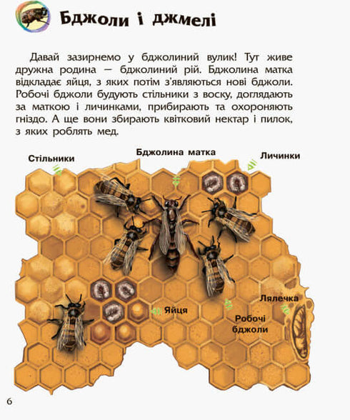 Enciclopédia do Pré-Escolar. Insetos