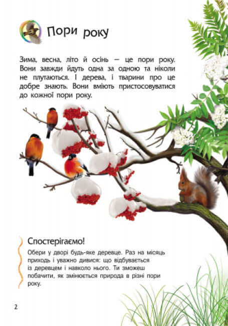 Enciclopédia do Pré-Escolar. Natureza