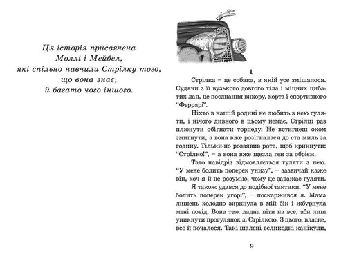 Foguete em quatro patas