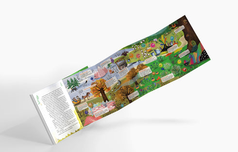 Natal e o segredo do vale mágico